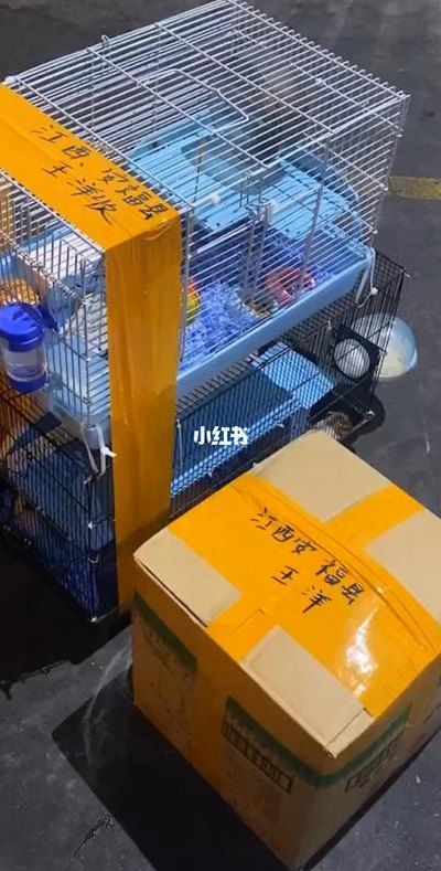 动物活体要寄什么快递（能邮寄活体动物的快递公司有哪些）