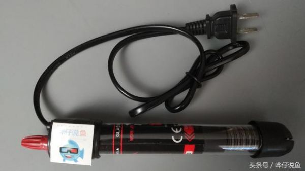盘点有关鱼缸加热棒的18个常见问题，宠物鱼新手请上座！