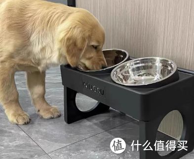 狗德树立攻略:让狗狗变身 “礼貌汪星人” 秘籍