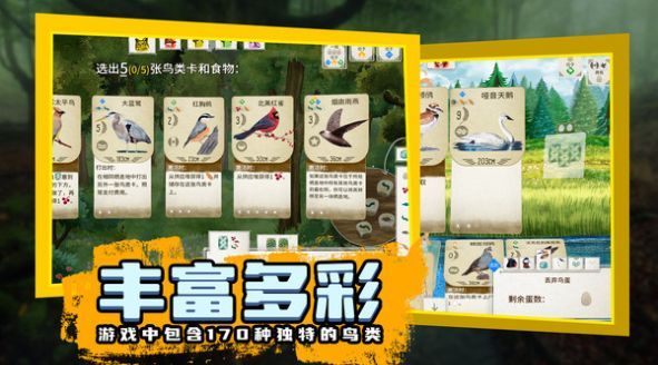 鸟类观察家游戏下载中文版图片1