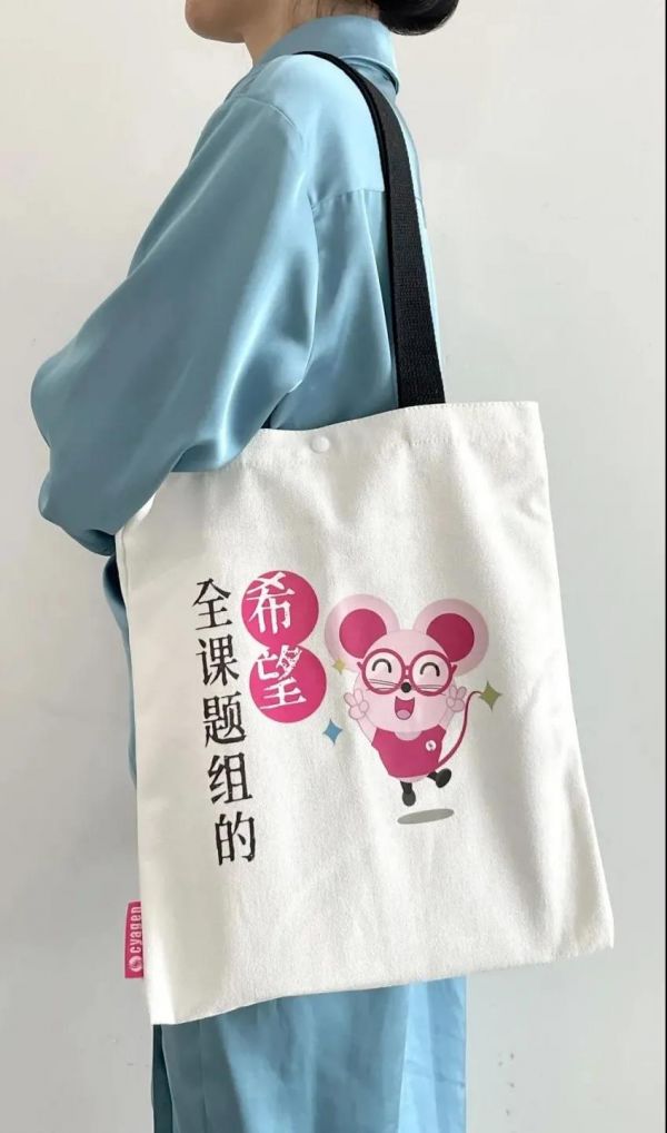 关于小鼠的繁育