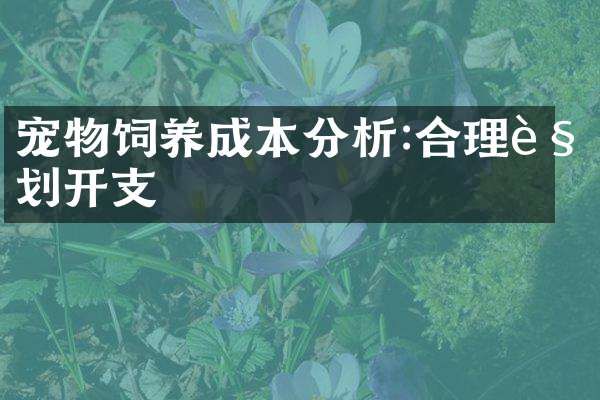 宠物饲养成本分析:合理规划开支