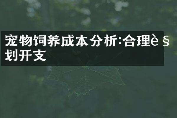 宠物饲养成本分析:合理规划开支