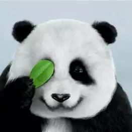 图标