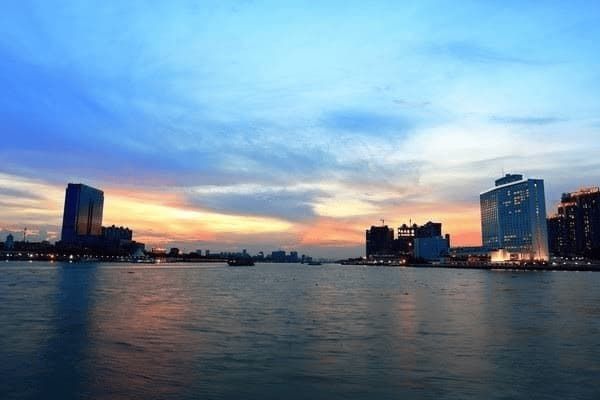 宠物店怎么托运宠物狗，宠物店怎么托运宠物狗呢