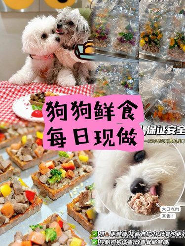 养狗人必备，接长寿狗狗！鲜食少不了！