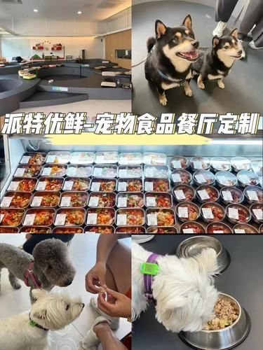派特优鲜PetFirst：宠物美食天堂