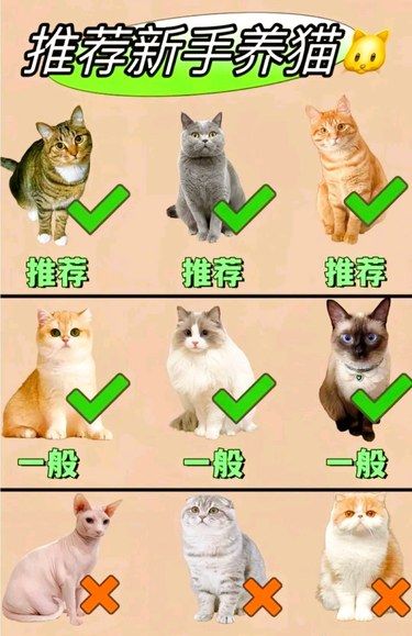 还不知道怎么选择嘛？来看看宝藏建议吧！