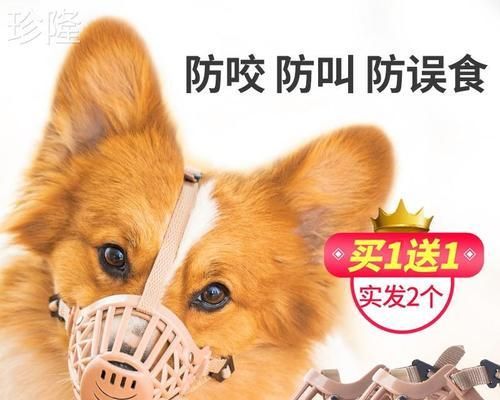 最佳喂食时间（为宠物狗选择合适的喂食时间）