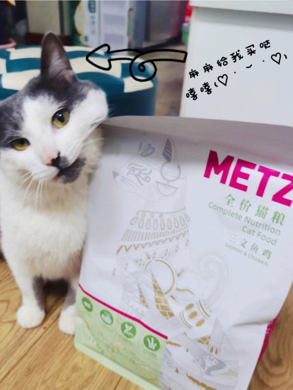 猫咪的营养餐如何搭配 猫咪的营养餐如何搭配好吃