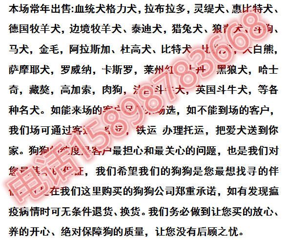 湖南娄底县狗场哪里有
