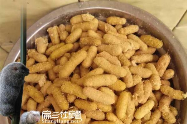 正常的竹鼠大便颜色