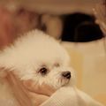 https://p0.meituan.net/userheadpicbackend/5963494a080a30c1024a2696ec05aec3941820.jpg%40120w_120h_1e_1c_1l%7Cwatermark%3D0