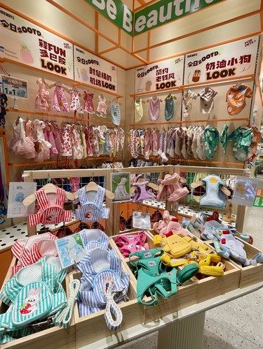 萌宠乐园来啦昆山的铲屎官快来！