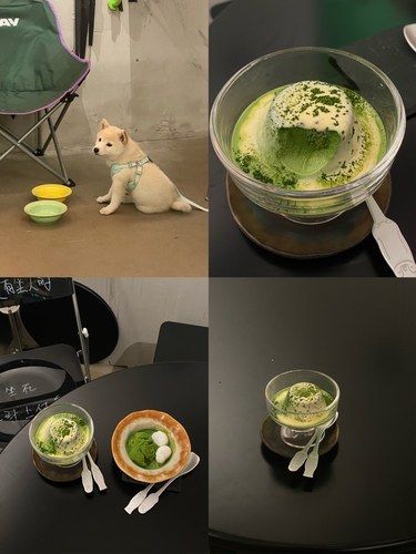 今天吃了颗抹茶星球