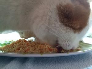 猫饭！猫吃的饭！的做法 步骤5