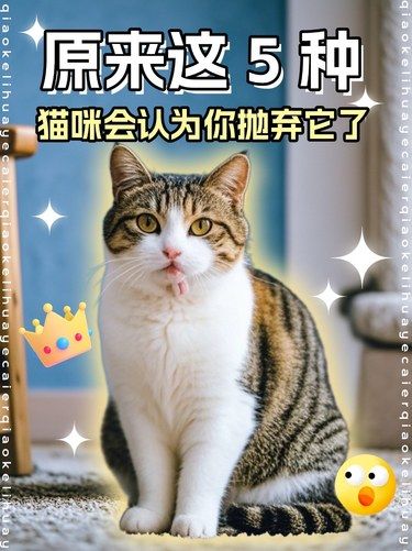 原来这 5 种行为，猫咪会认为你抛弃它了