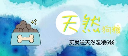 天然狗粮宠物用品banner图片