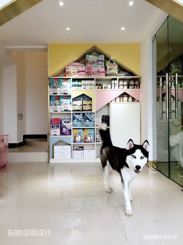 广州萌宠雅筑宠物店_3680379