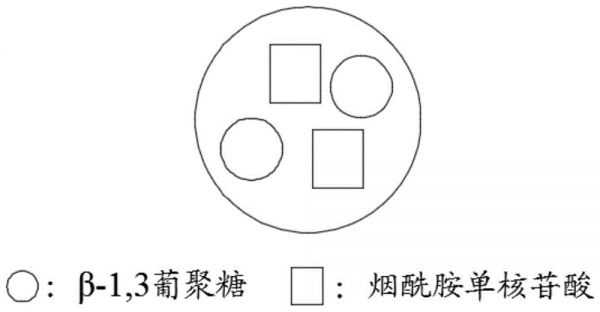 一种宠物保健品及其制备方法与流程