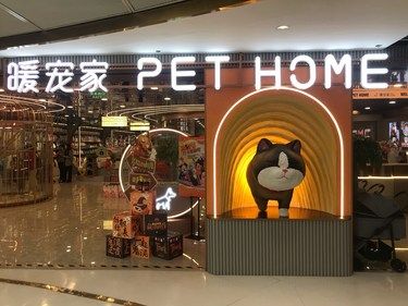 宠物