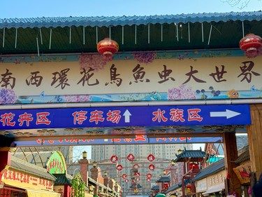 济南西部遛娃好去处