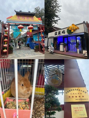 宠鸟的舒适小天地