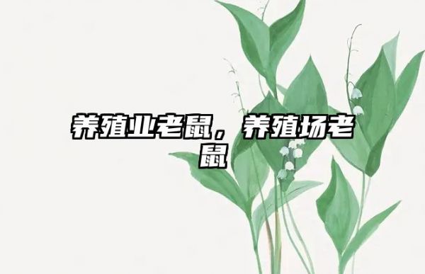 养殖业老鼠，养殖场老鼠