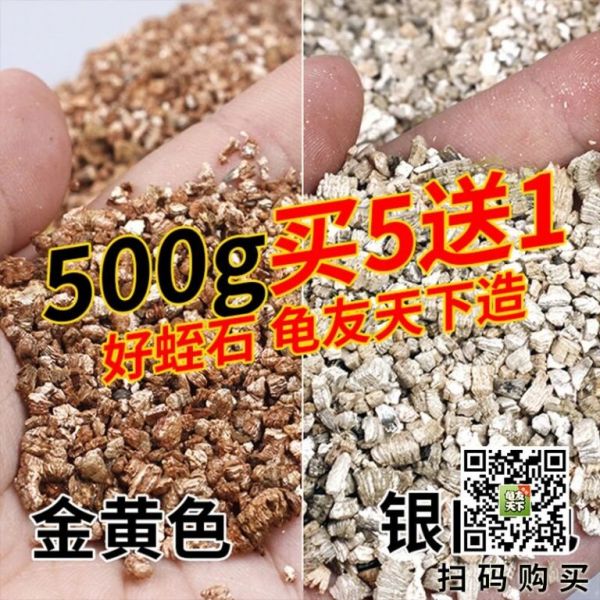 怎么判断龟蛋是否受精（买龟蛋孵化需要注意什么）
