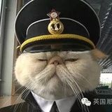 圈圈儿