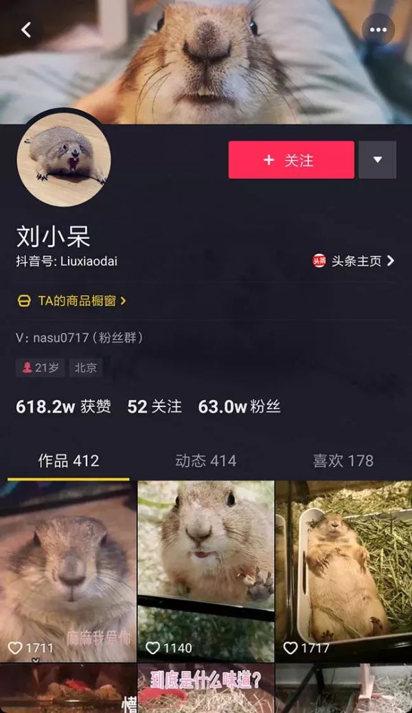 萌宠话题播放量破167亿，All in抖音成宠物食品营销大势