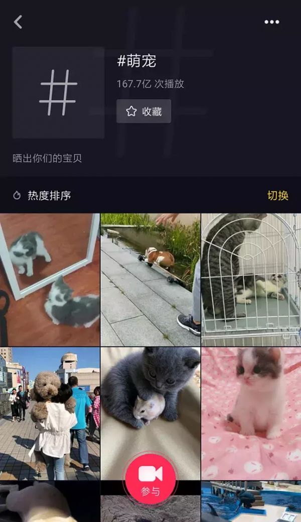 萌宠话题播放量破167亿，All in抖音成宠物食品营销大势
