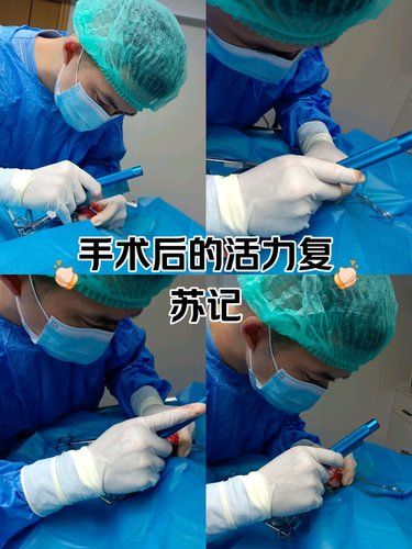 龙岗中心城博特宠物医院
