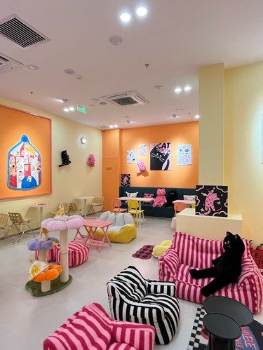 连吴宣仪都打卡过得猫咖店 还不赶快来打卡