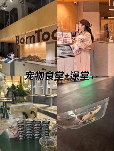 家附近的宠物食堂+澡堂