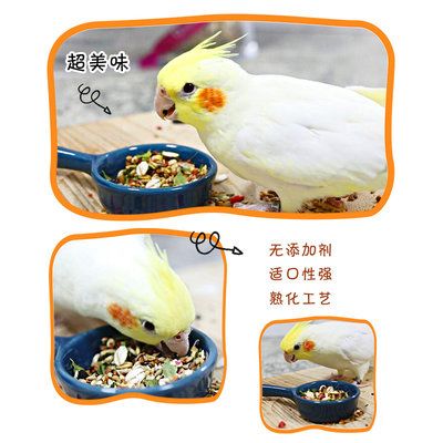 千鹦鸟舍鹦鹉鸟粮饲料鸟食玄凤专用粮中小型混合粮浆果带壳种子粮图二