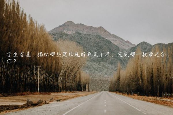 学生首选：揭秘哪些宠物既好养又干净，究竟哪一款最适合你？