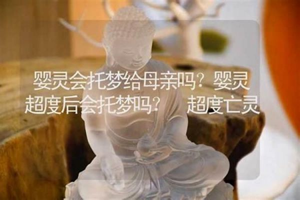 属猪的和属狗的生什么宝宝好一点