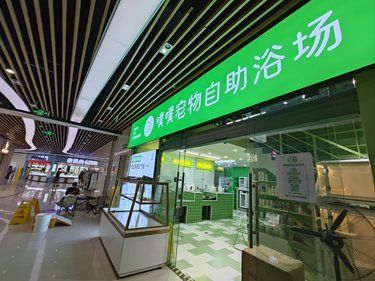 宠物自助洗浴