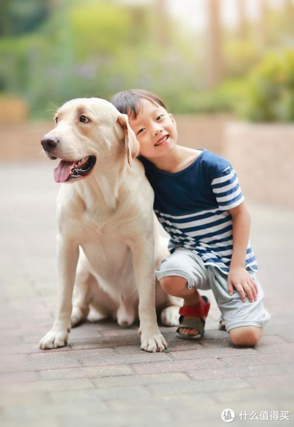 适合家里有小孩养的狗?这7种是不错的选择