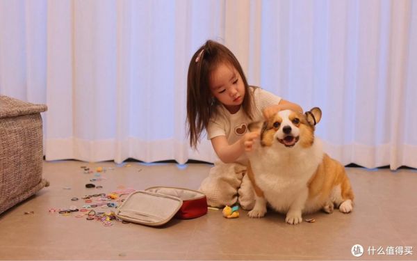 适合家里有小孩养的狗?这7种是不错的选择
