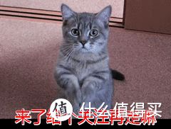 适合家里有小孩养的狗?这7种是不错的选择