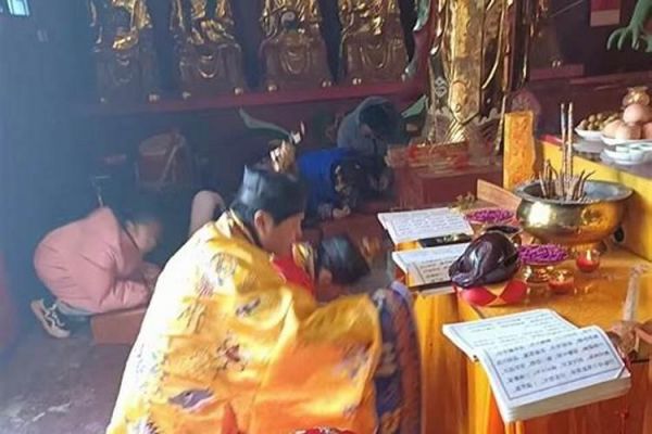 生肖龙适合养什么宠物好