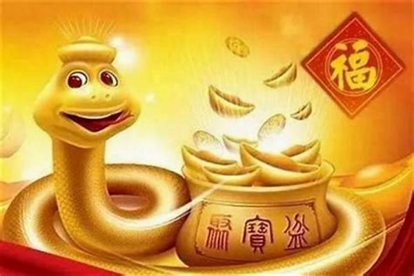 生肖龙适合养什么宠物好