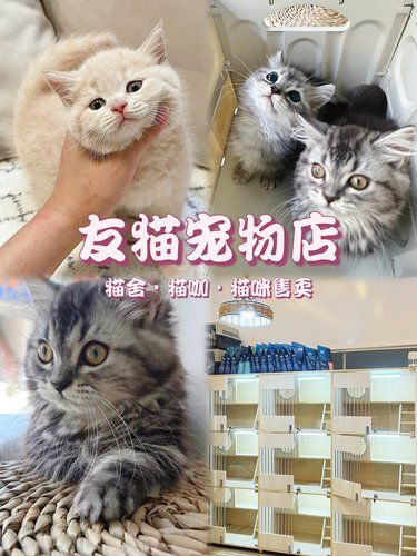 在车陂！尽情享受和毛孩子相伴时光