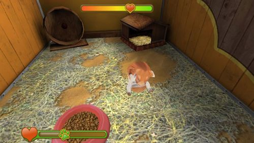 宠物世界3d我的动物救援无限金币版