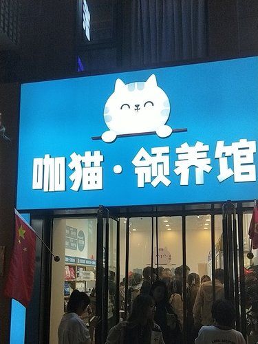 猫咪天地～宠物乐园