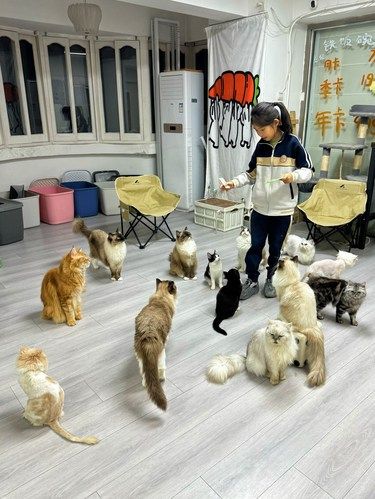 19r不限时撸猫，天天来也不也心疼