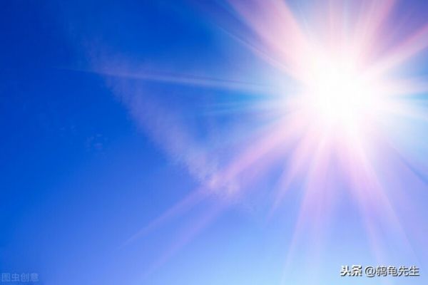 辟谣:幼龟乌龟壳变软真的是因为晒太阳少?龟粮含钙量低才是主因
