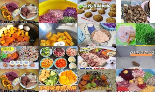 自制狗粮烘干视频教程